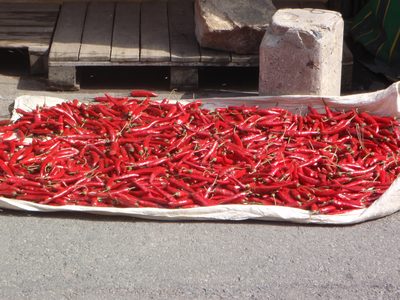 Lots of chili peppers drying in the sun at the Jagalchi...