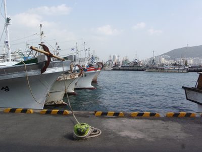 Fishing ships docked in Busan Harbor.