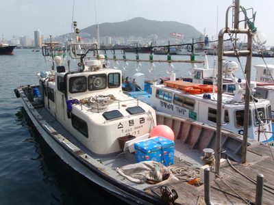 A squid-catching boat.  The large incandescent bulbs are...