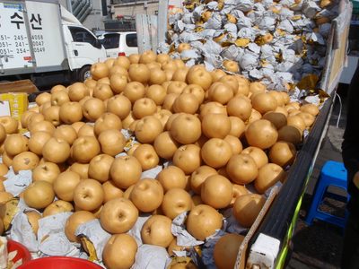Pears the size of my head for sale.