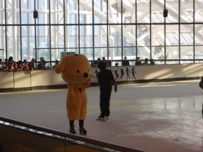 As promised, an ice ring, complete with mascot in a...