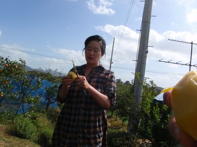Monica´s aunt peeling a persimmon.
