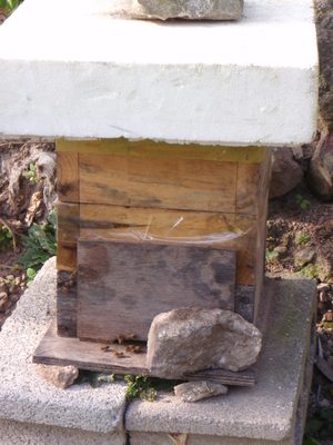 Apparently in recent years bee keeping has become a...