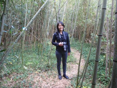 Monica in the bamboo forest.  Neither of us were really...