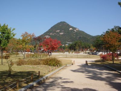 A view of the palace grounds.  Perhaps we should have...