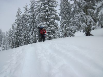 Snow falling heavily.