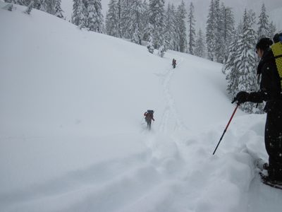 Skiing across a small gully we took one at a time.