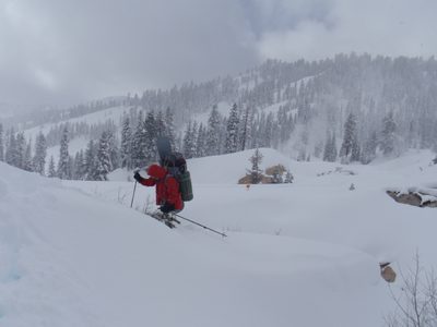 Vinnie, climbing the steep mountainside as we left the...