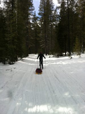 The pulk got to go on its second outing in 2 weeks: The...