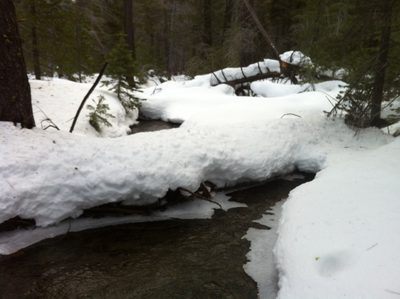 Crossing a small stream.