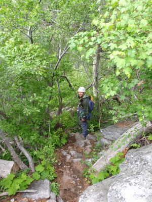 Everything was very green for the middle of June in the Sierras.
