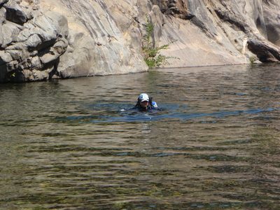 Michael, swimming for shore.