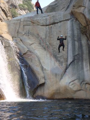 Mike doing his mid-air impression of a fly on an...