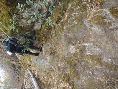The use trail included the use of a 30 foot hand line to...