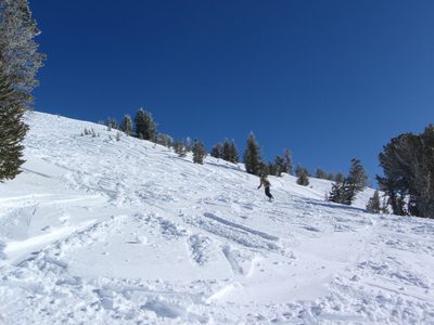 Monica, playing in the fresh powder left for us the...