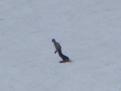 I tried using the digital zoom to take pictures of...