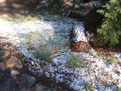 Snow from the night before.