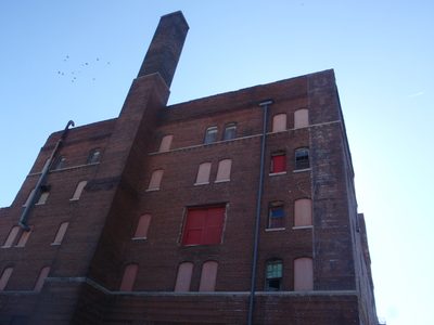 An old factory along the riverfront.  And some birds.