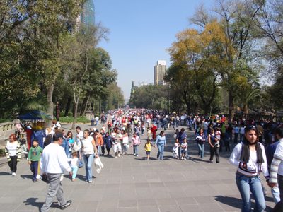 It was a large park, much like Central Park or Golden Gate Park.