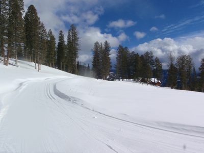 The skies cleared up around noon and the weather was...