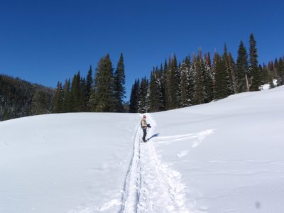 Monica leading the way up the Beehive Basin trail.