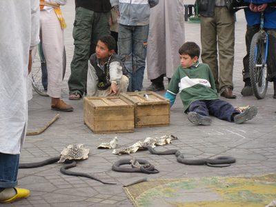Little kids at the snake charmers' booth near the souk.