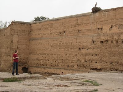 Trevor checking out a stork in the El Badi Palace.