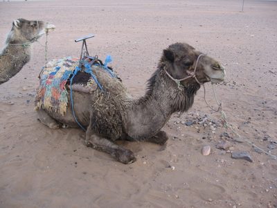 One of our many forms of transportation while in...