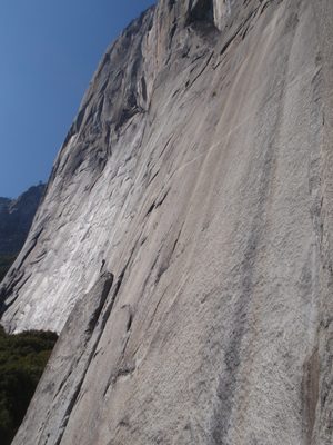 View from our vertical camp site of part of the Salathe Wall.