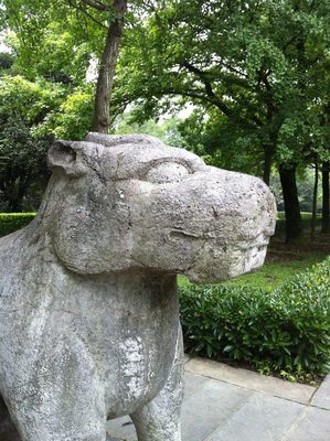 Bear-eyed unicorn.