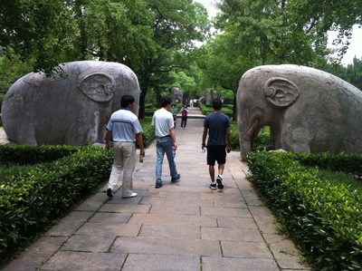 Next are a pair of elephants. Our guide is at the left...