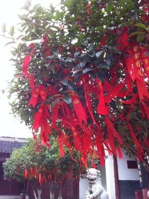 Prayer tree or somesuch behind the temple.