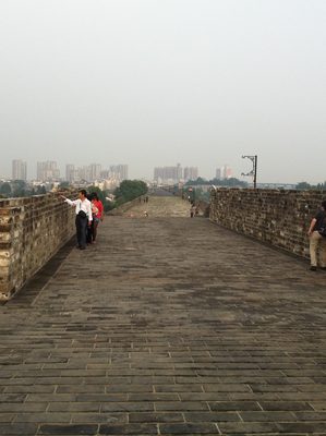 View of the wall to the east, from the south gate.