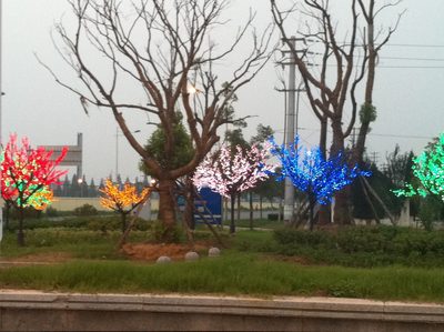 LED trees spotted on the drive back from Nanjing.