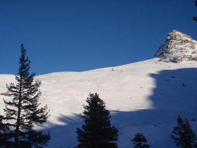 Sequoia's "Matterhorn" and a few of our friends skiing /...