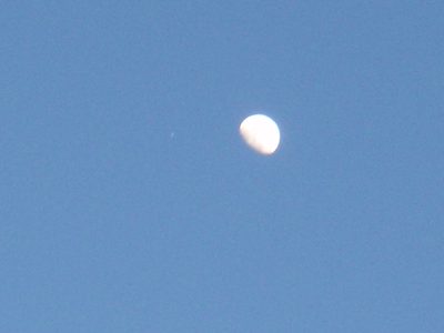 Best shot I could get of Jupiter, just to the left of the moon.