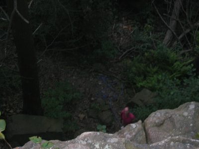 Dad in the woods.