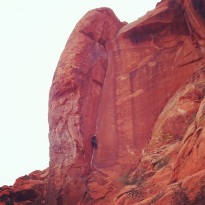 Monica outsmarting the Fox.
