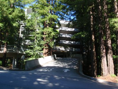 U.C. Santa Cruz. Like a university for Ewoks!