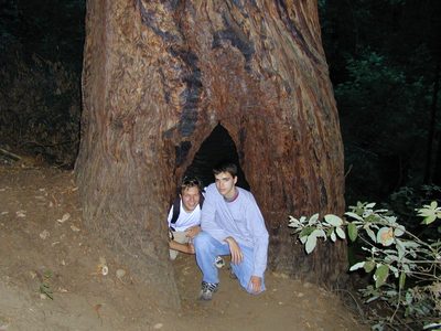 John and Robert inside a tree.