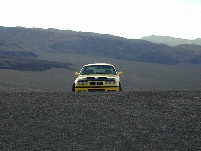 The noble steed.  Near the volcanic Ubehebe crater at...