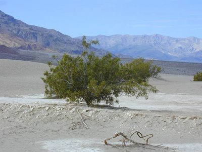 This was probably the part of Death Valley I thought was...
