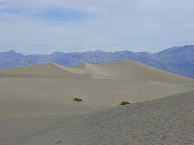 Giant sand dunes over 100 feet high.