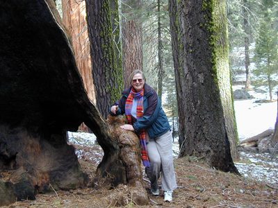 Mom and a giant sequoia in Sequoia National Park.  Quite...