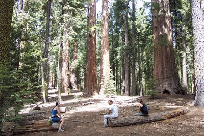 Rachel, John, and Tini relaxing among the big trees.