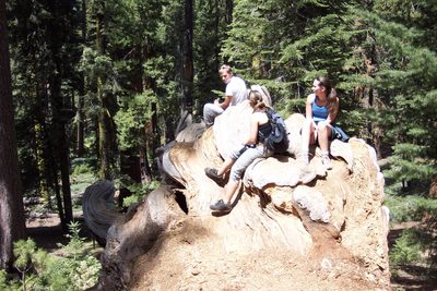 John, Tini, and Rachel hanging out of Fallen Tunnel Tree...