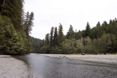 This is the river where Stephan asked me and Rachel...