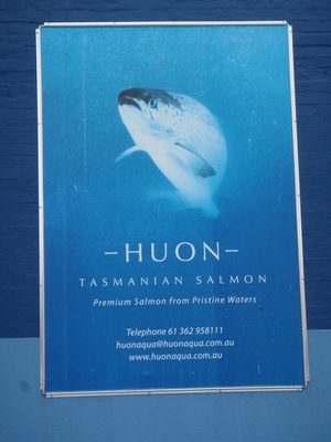 Who knew they had salmon in Tasmania?