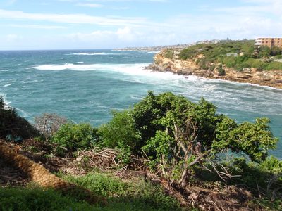Looking back across Gordon's Bay to Coogee Bay (in the distance).