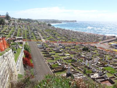 Not a bad place to rot and decompose, I suppose.